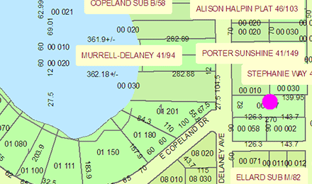 MicroBase Assessor Map